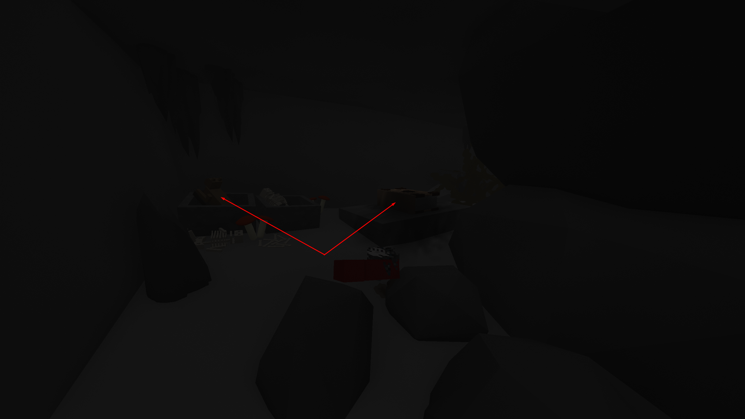 Мумия кошки и книга